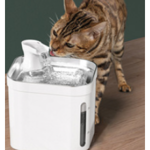 Pet feeder